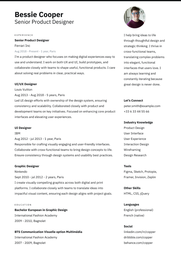 CV Template 6 CV template preview