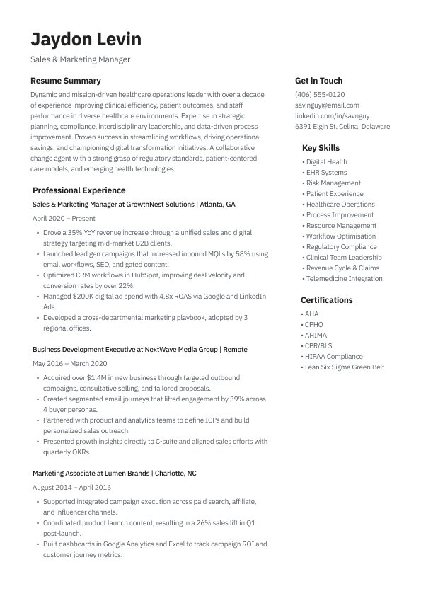 CV Template 17 CV template preview
