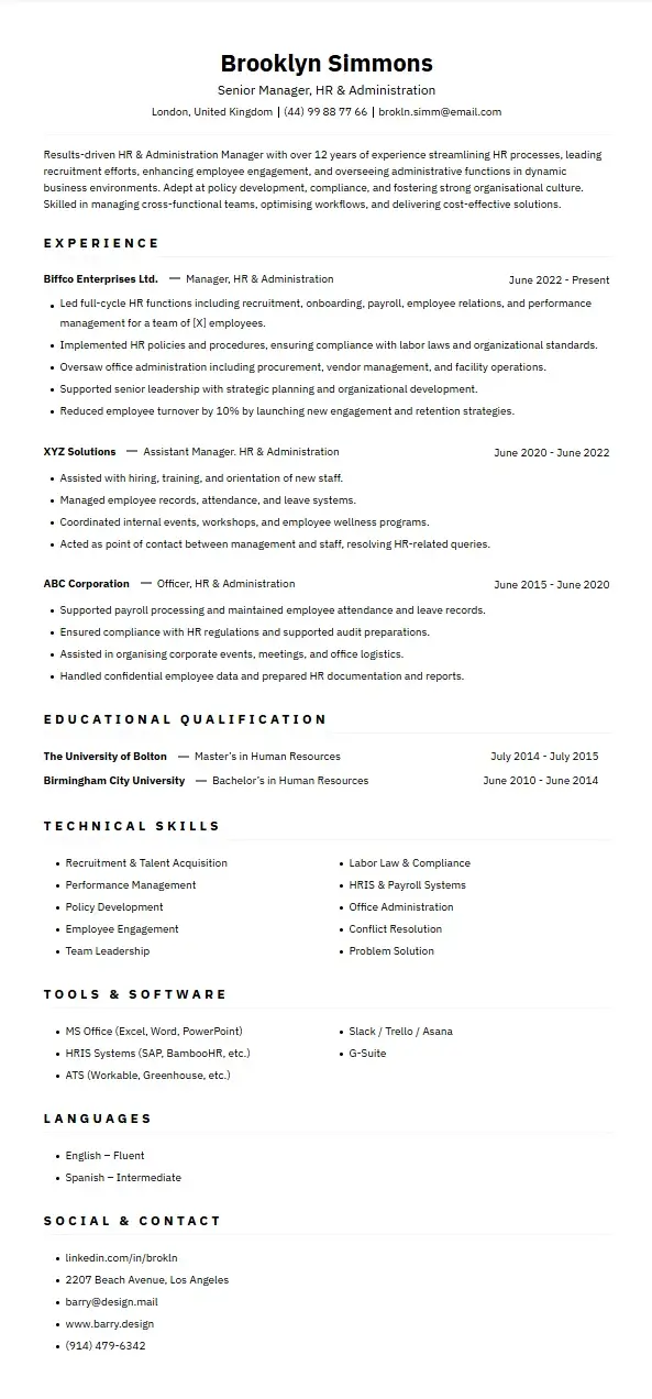 CV Template 27 CV template preview