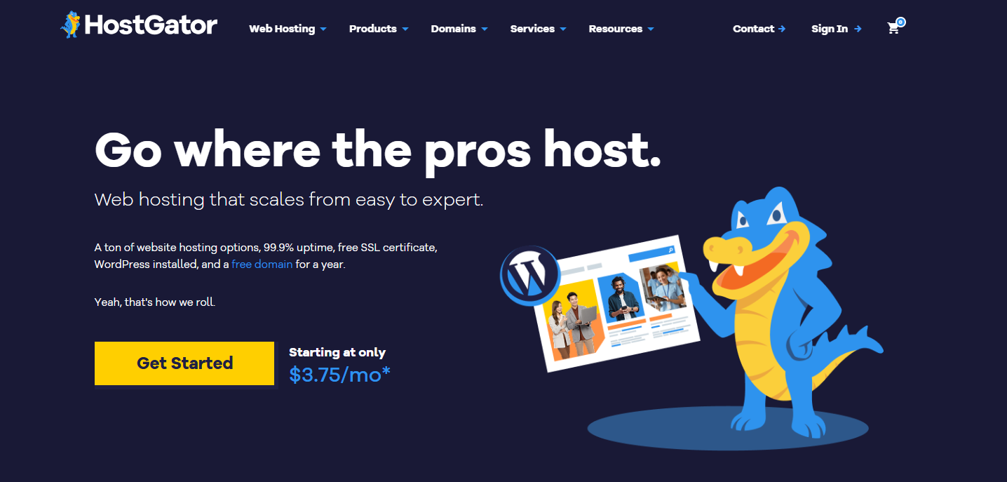 hostgator website hosting