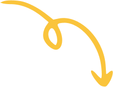 Vector